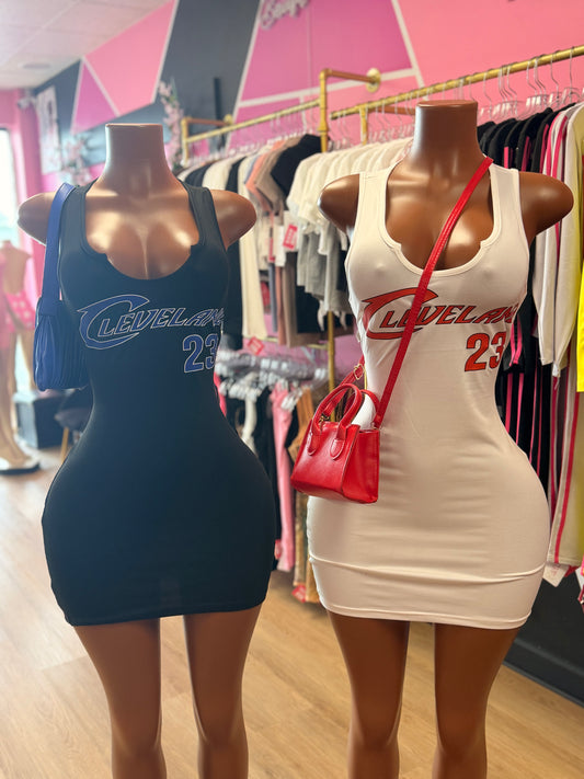 Cleveland Mini Dress